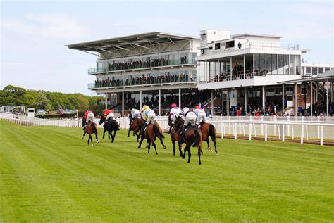 wetherby race meetings 2022.